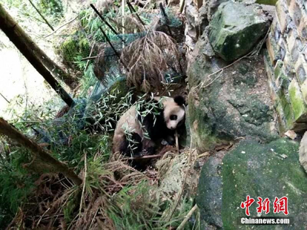第1張圖片