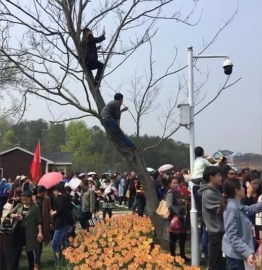 第1張圖片