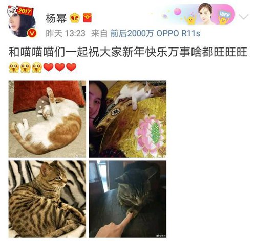第1張圖片