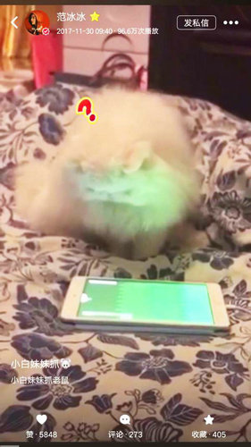 第1張圖片