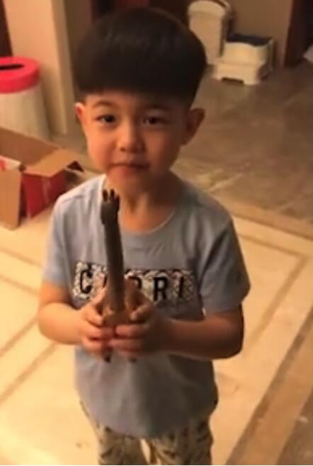 第1張圖片